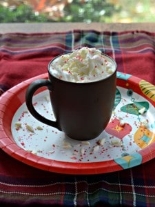 Try this White Christmas Hot Cocoa for a treat