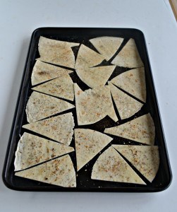 Homemade Tortilla Chips with two different seasonings