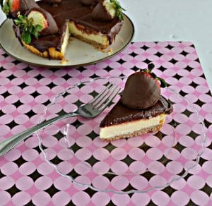 Chocolate Covered Strawberry Cheesecake is a favorite any any family gathering