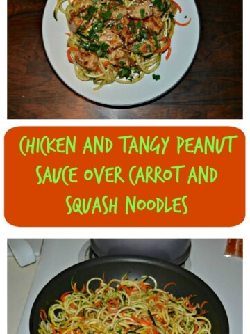 Try this Chicken and Tangy Peanut Sauce over Carrot and Squash Noodles recipe