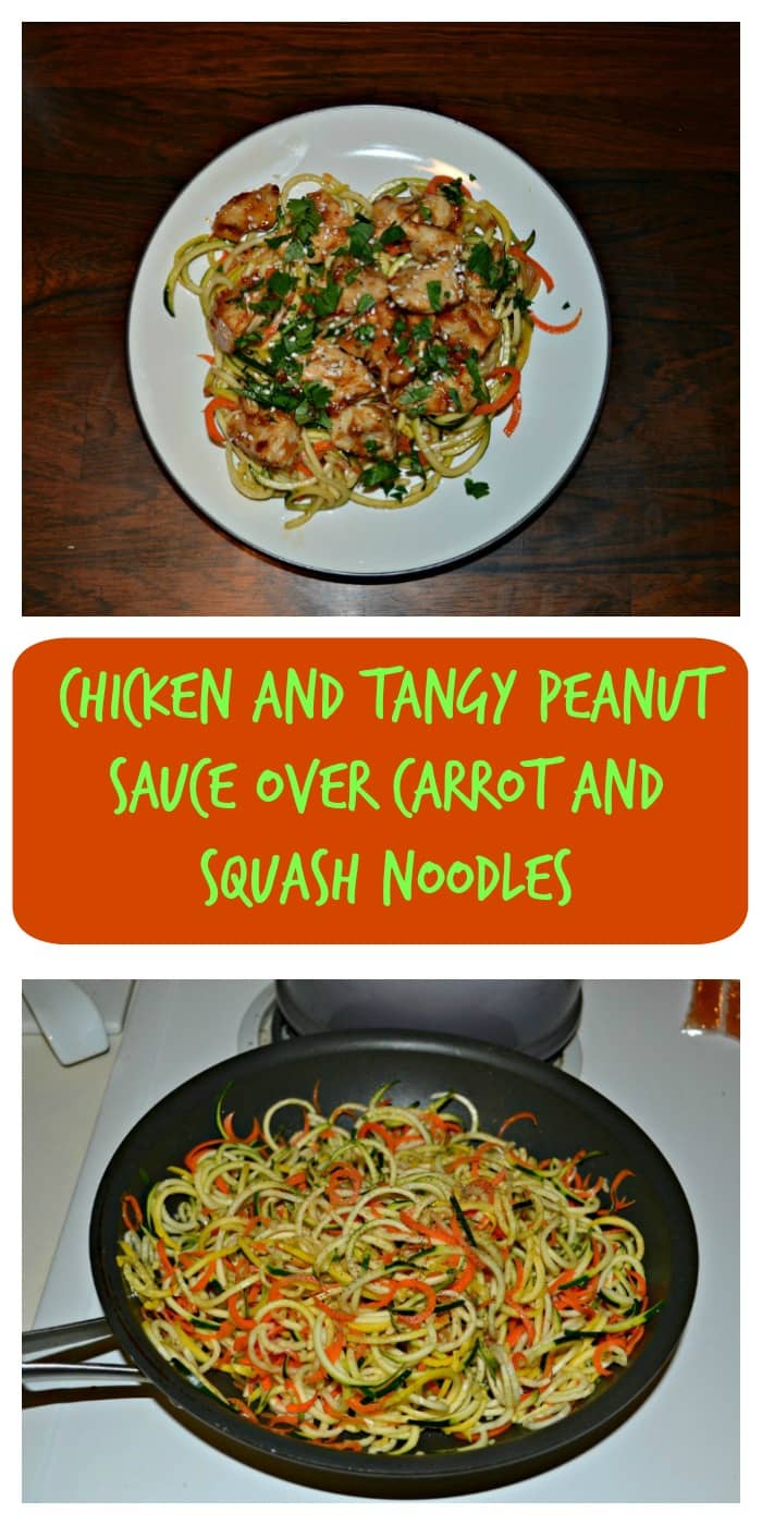 Chicken and Tangy Peanut Sauce over Squash and Carrots Noodles + a review of 150 Best Spiralizer Recipes