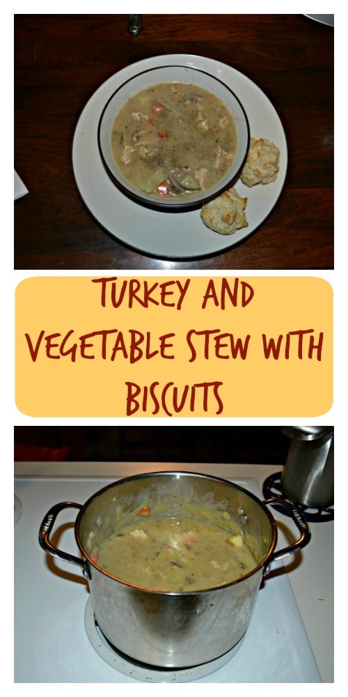 Grab a bowl of Turkey and Vegetable Stew with quick Biscuits