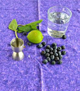 Everything you need to make a Blueberry Mojito