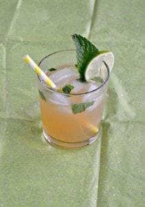Ever had a Moscow Mule? If not grab yourself some ginger beer, a lime, and mint and get to making one!