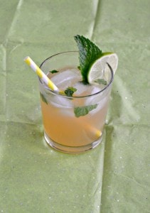 Ever had a Moscow Mule? If not grab yourself some ginger beer, a lime, and mint and get to making one!
