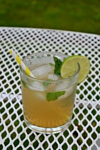 Cool off with a refreshing Moscow Mule