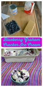 Grab a spoon and get ready to dig into this No Churn Blueberry Graham Cracker Ice Cream!