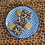 Try these Chocolate Covered S'mores topped with fun sprinkles and chocolate!