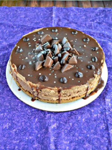 This No Bake Mocha Cheesecake is delicious and easy to make!