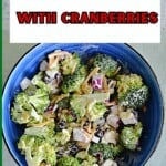 Pin Image: Text title, a bowl of broccoli salad.