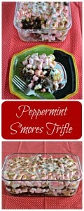 Looking for a delicious holiday dessert? Check out this easy to make Peppermint S'mores Trifle recipe!