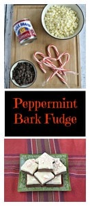 Looking for a tasty and easy to make dessert? Try this double layer Peppermint Bark Fudge!