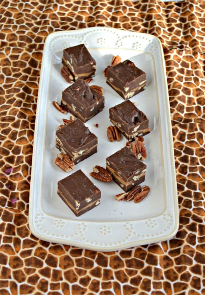 Love this rich and delicious Turtle Fudge with chocolate, pecans, and caramel sauce!