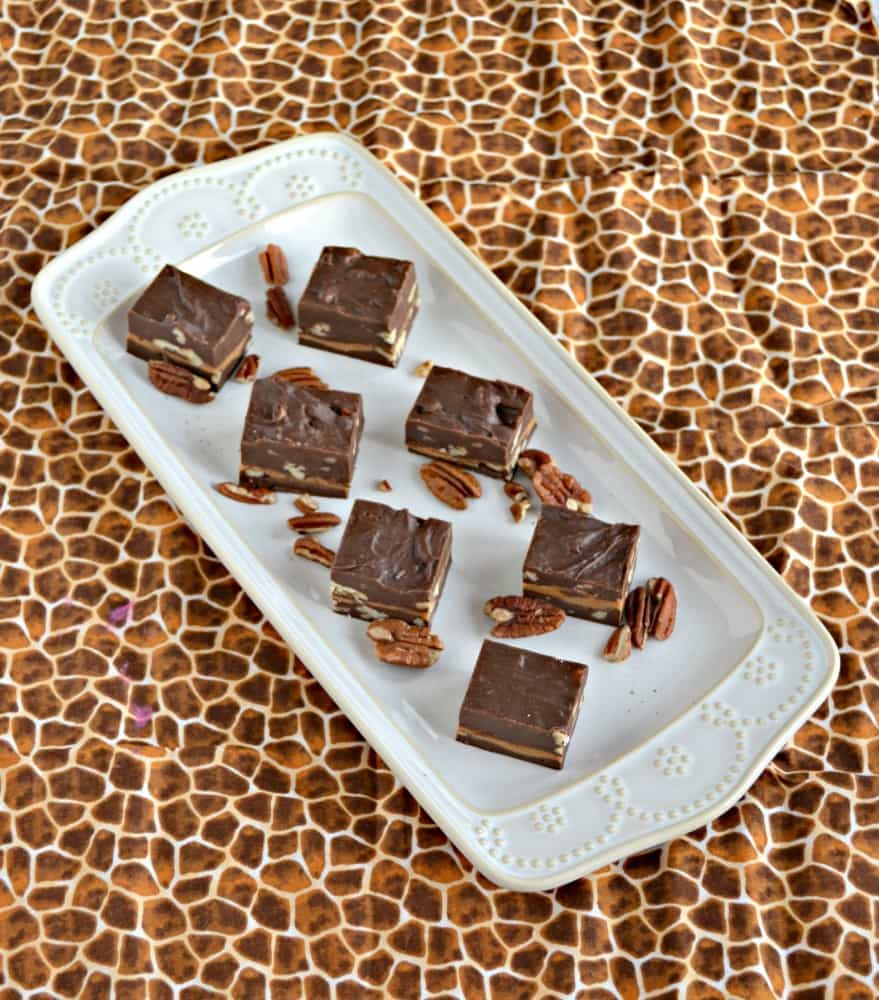 Take a bite of this rich chocolate and pecan fudge with a layer of creamy caramel! This Turtle Fudge is a favorite!