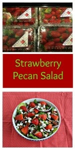 Florida Strawberries are in season just in time to make this delicious Strawberry Pecan Salad with Honey Balsamic Vinaigrette for the holidays!