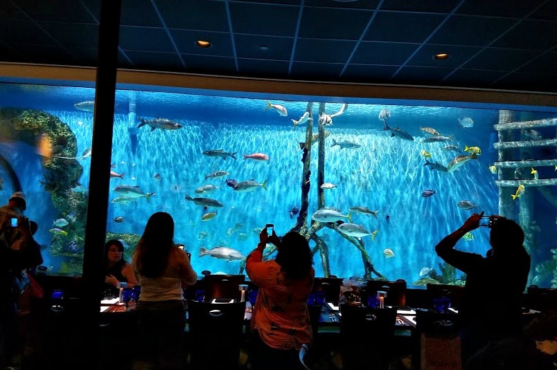 The awesome Fish Tank at RumFish Grill
