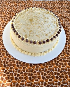 You'll want to dig right in to this amazing Chocola Mocha Cake with Salted Caramel Frosting with chocolate chips on top!