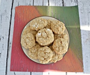 Love oatmeal cookies? You've got to try these soft and delicious Grandma's Oatmeal Cookies rolled in powdered sugar!
