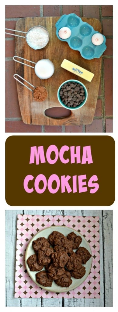 Everything you need to make a delicious Mocha Cookie!