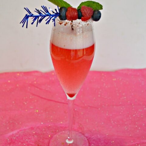 This Sparkling Berry Cocktail is the perfect beverage for all of your patriotic celebrations!