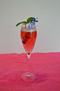 Need a summer celebration cocktail? I've got this delicious Sparkling Berry Cocktail recipe!