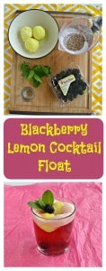 Everything you need to make a Blackberry Lemon Cocktail Float