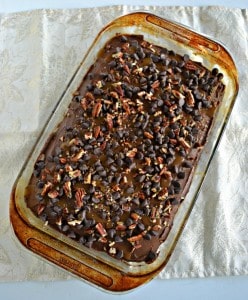 Dig into this awesome Turtle Poke Cake topped with pecans, caramel, and chocolate chips!