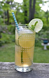 Looking for a refreshing summer beverage? Try my Mojito Iced Tea!