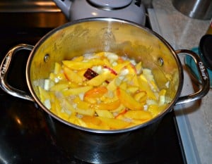 Peaches are in season and it's the perfect time to make Peach Pie FIlling!