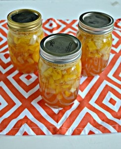 I love canning fresh peaches in this Peach Pie Filling and enjoying it all year long!