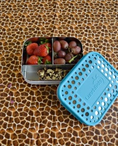 Grab your stainless steal LunchBots container and pack up your favorite snacks!