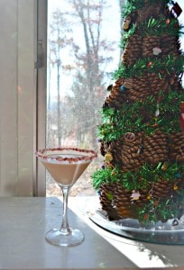 Sip on a Candy Cane Martini this holiday season!