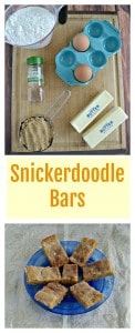Everything you need to make delicious Snickerdoodle Bars