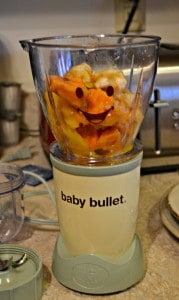 Baby Food Fridays: Tropical Puree (stage 2 food)