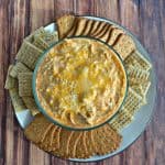 Instant Pot Buffalo Chicken Dip