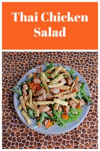 Pin Image: Text title, a plate of salad with cashew, carrots, and crunchy noodles on top.
