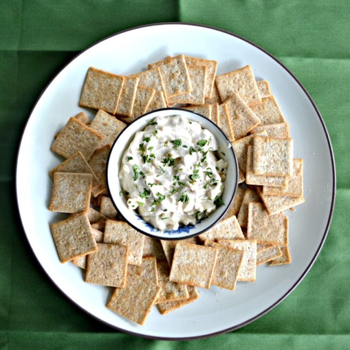 This easy 4 ingredient Sour Cream and Onion Cheddar Dip is a party pleaser!