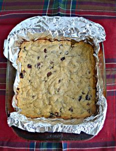 Chocolate and cranberry pair up in these delicious blondies