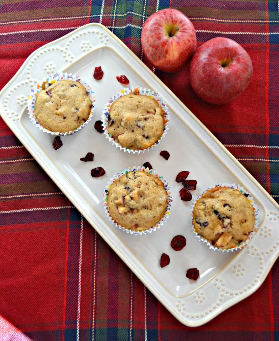 Bite into an Apple Cranberry Muffin