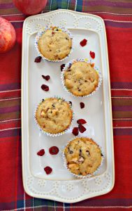 Delicious Apple Cranberry Muffins