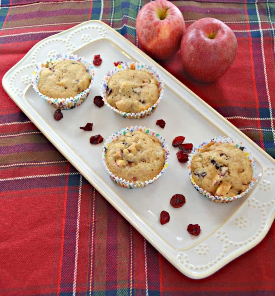 Apple Cranberry Muffins