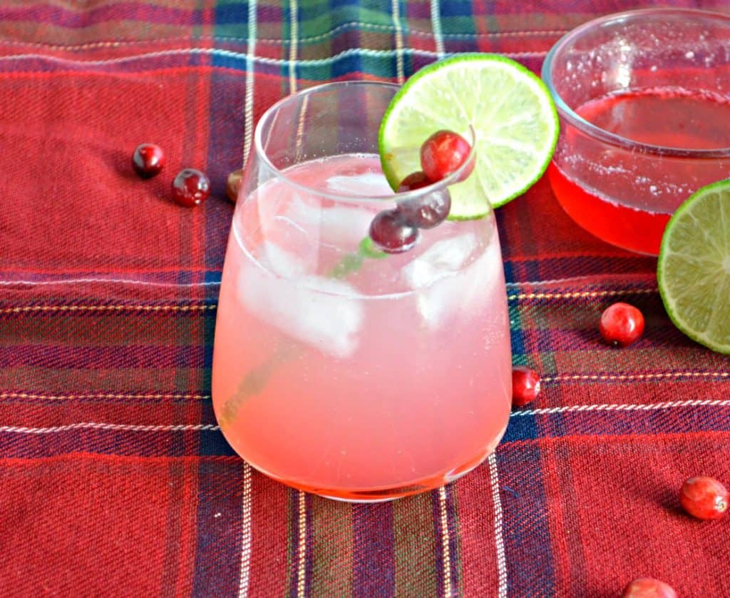 Christmas Cranberry Cocktail