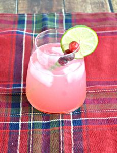 Holiday Cranberry Cocktail