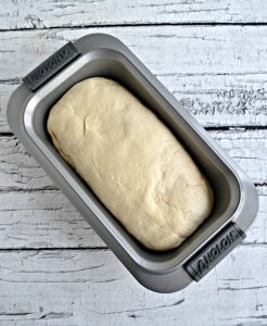 Bread dough in a bread pan after rising.