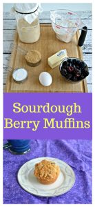 Pin image: Ingredients used for Sourdough muffins on a cutting board, text overlay, a muffin on a white plate sitting on a purple place mat with a cup of coffee in the corner.