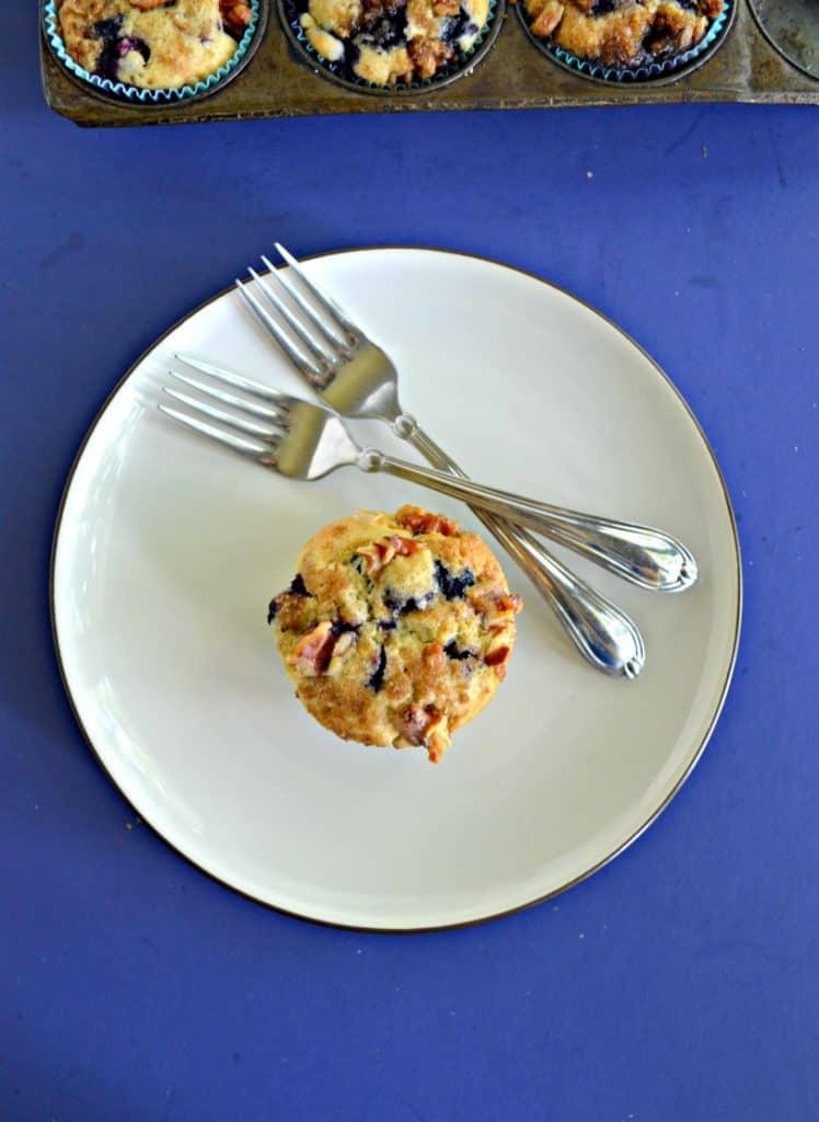 Top view of blueberry muffin on a plate with two forks that are crossed on top of each other.