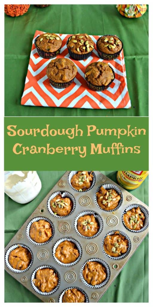 Pin Image: A green background with an orange and white place mat with 5 muffins on it. There are 2 muffins up front and 3 in the back, text overlay, A muffin tin filled with pumpkin batter. The top 6 are topped with pepitas. On the top right is an empty can of pumpkin and on the top left in a jar of sourdough starter. 