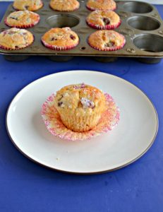 A white dessert plate with a golden brown muffin studded with purple grapes sitting on a red and white liner in the middle of it with a muffin tins filled with more muffins behind it on a blue background.