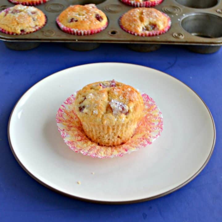 A white dessert plate with a golden brown muffin studded with purple grapes sitting on a red and white liner in the middle of it with a muffin tins filled with more muffins behind it on a blue background.