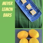 Pin Image: Text overlay (yellow text on green background, A blue platter sitting diagonally with three lemon bars, topped with powdered sugar, sitting on top of it on a green background, 4 yellow Meyer lemons